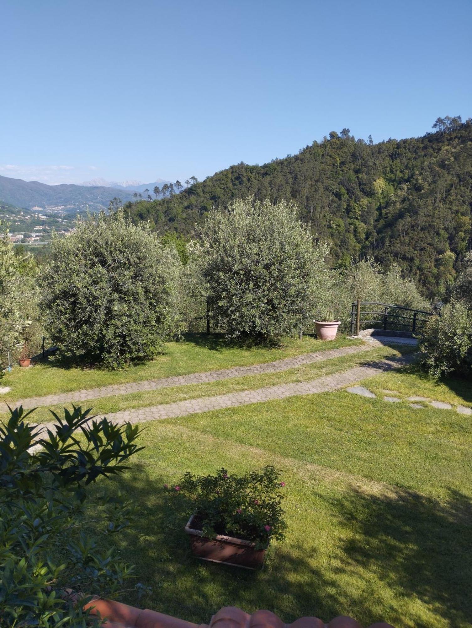 Villa Degli Ulivi Tivegna Exterior photo